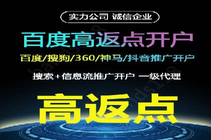 百度推广技巧分享：成功案例解析